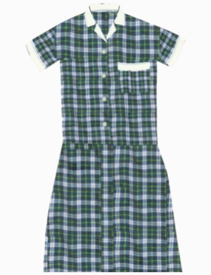 Fidelis Prep Summer Dress